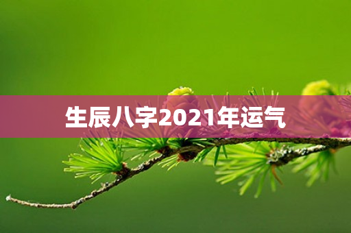 生辰八字2021年运气