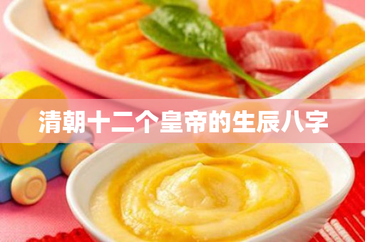 清朝十二个皇帝的生辰八字