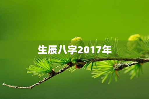 生辰八字2017年