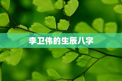 李卫伟的生辰八字