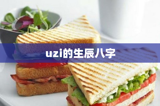 uzi的生辰八字