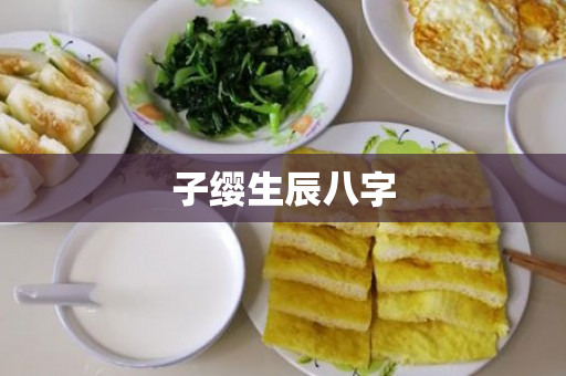 子缨生辰八字