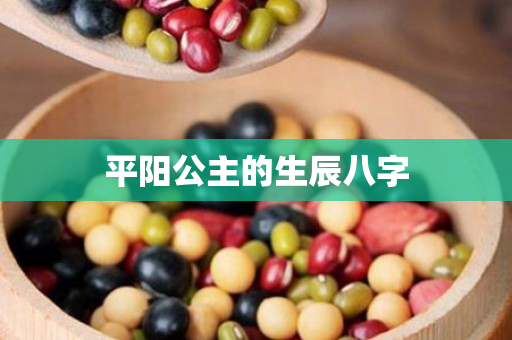 平阳公主的生辰八字