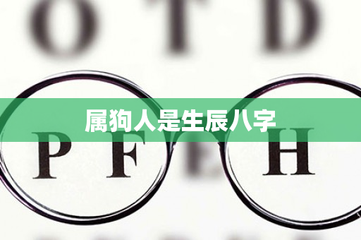 属狗人是生辰八字