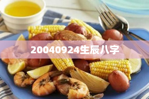 20040924生辰八字