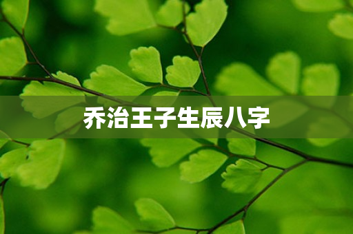 乔治王子生辰八字