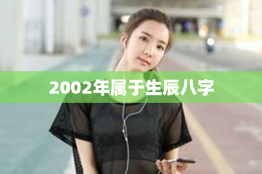 2002年属于生辰八字