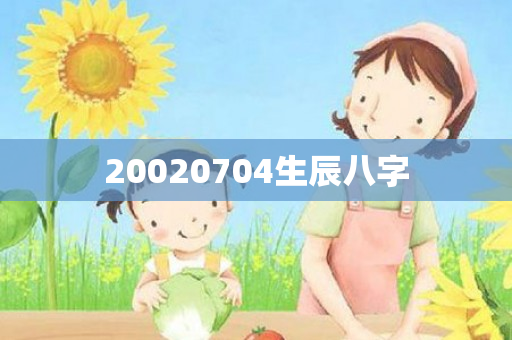 20020704生辰八字