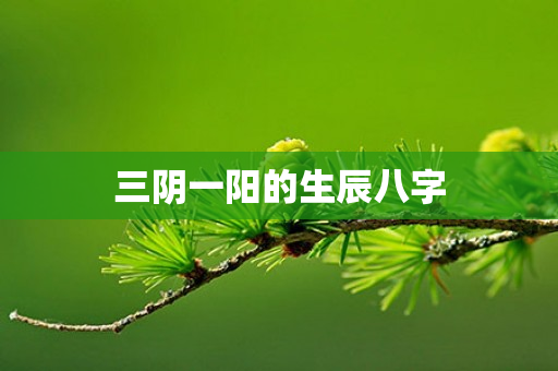 三阴一阳的生辰八字