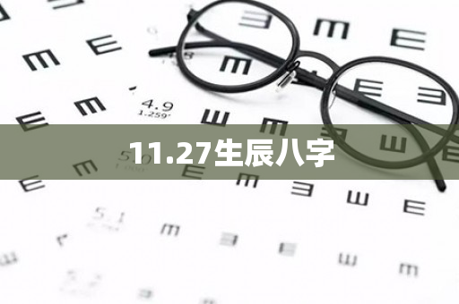 11.27生辰八字