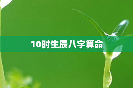 10时生辰八字算命