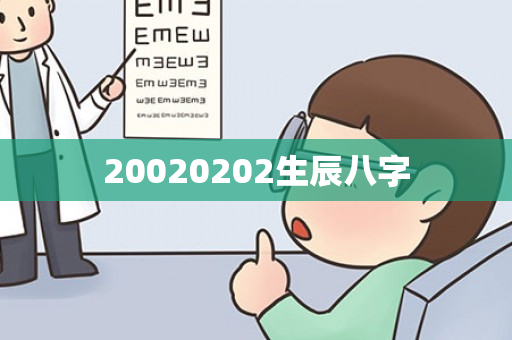 20020202生辰八字