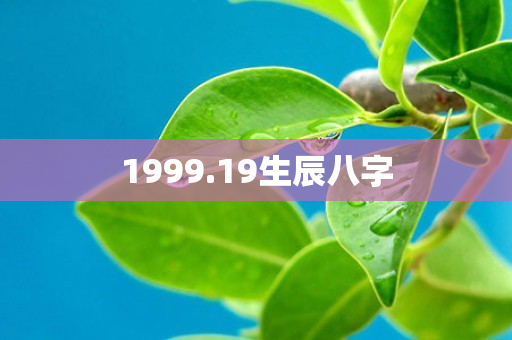 1999.19生辰八字