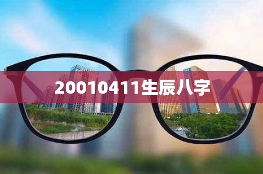 20010411生辰八字