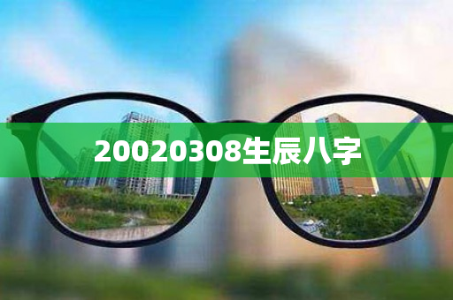 20020308生辰八字