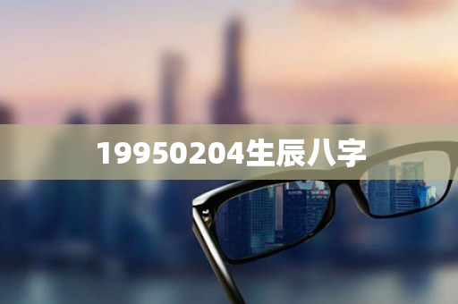 19950204生辰八字